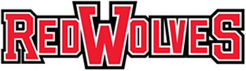 Arkansas State Red Wolves 2008-Pres Wordmark Logo DIY iron on transfer (heat transfer)